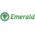 Топперы Emerald фото логотипа